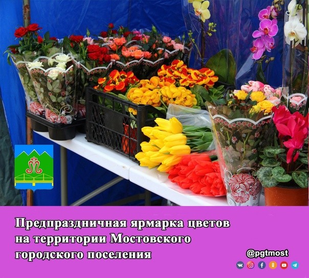 В Мостовском перед 8 Марта откроется цветочная ярмарка.