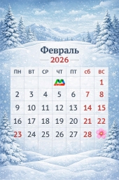 Россиян ждут трёхдневные выходные в честь Дня защитника Отечества